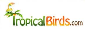 tropical birds