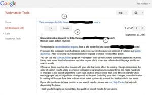 google manual spam action revoked