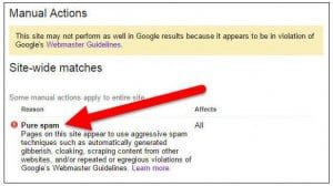 google bans domain name