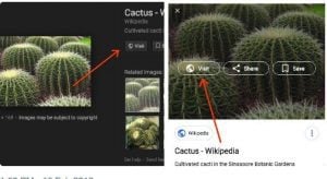 google removes view image