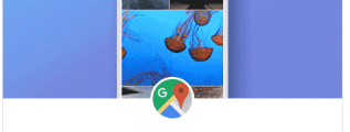Google Local Guide Upload Video