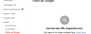 Google Fetch and Render