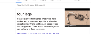 How many legs does a snake have?