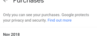 Google purchases