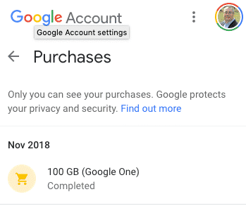 Google purchases