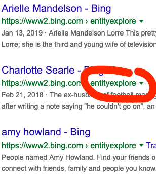 Bing results entities in Google
