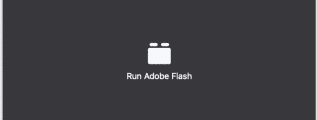 Viewing this content requires Adobe Flash Player
