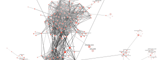 Majestic Link Graph