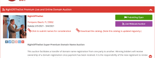Live domain name auction