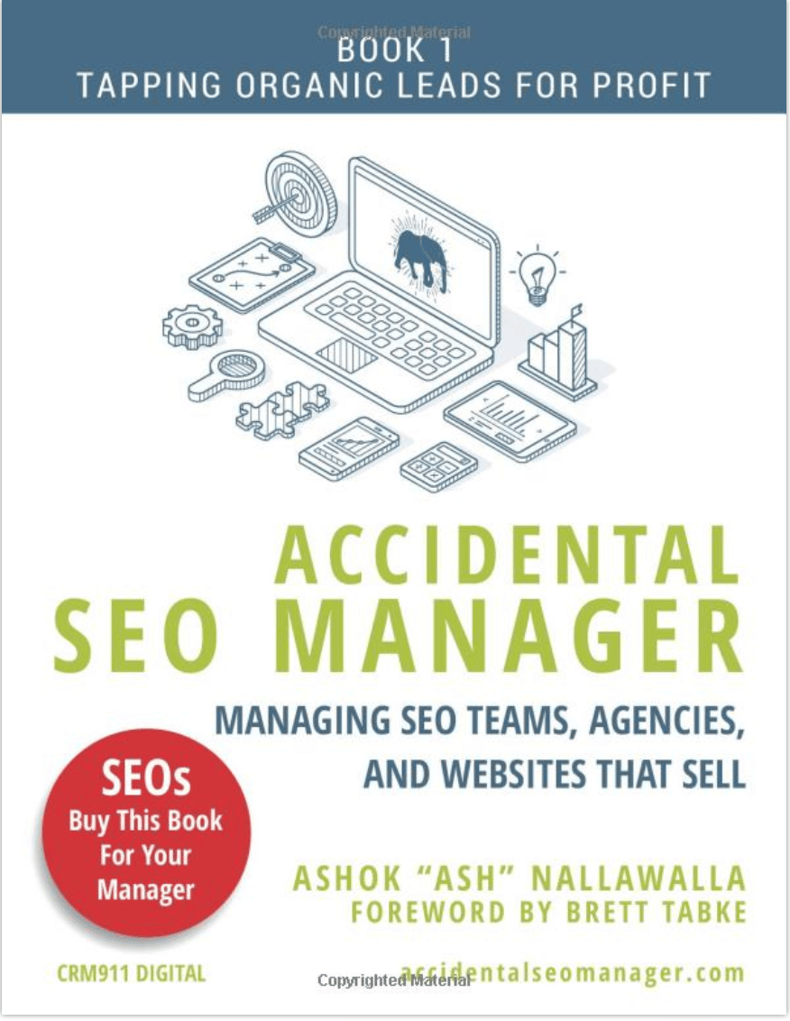 Accidental SEO Manager: Managing SEO Teams, Agencies, and Websites that Sell (Tapping Organic Leads for Profit Book 1) 