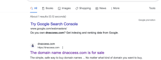 Google site search operator